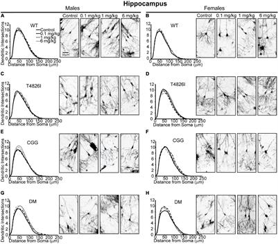 Sex and Genotype Modulate the Dendritic Effects of Developmental Exposure to a Human-Relevant Polychlorinated Biphenyls Mixture in the Juvenile Mouse